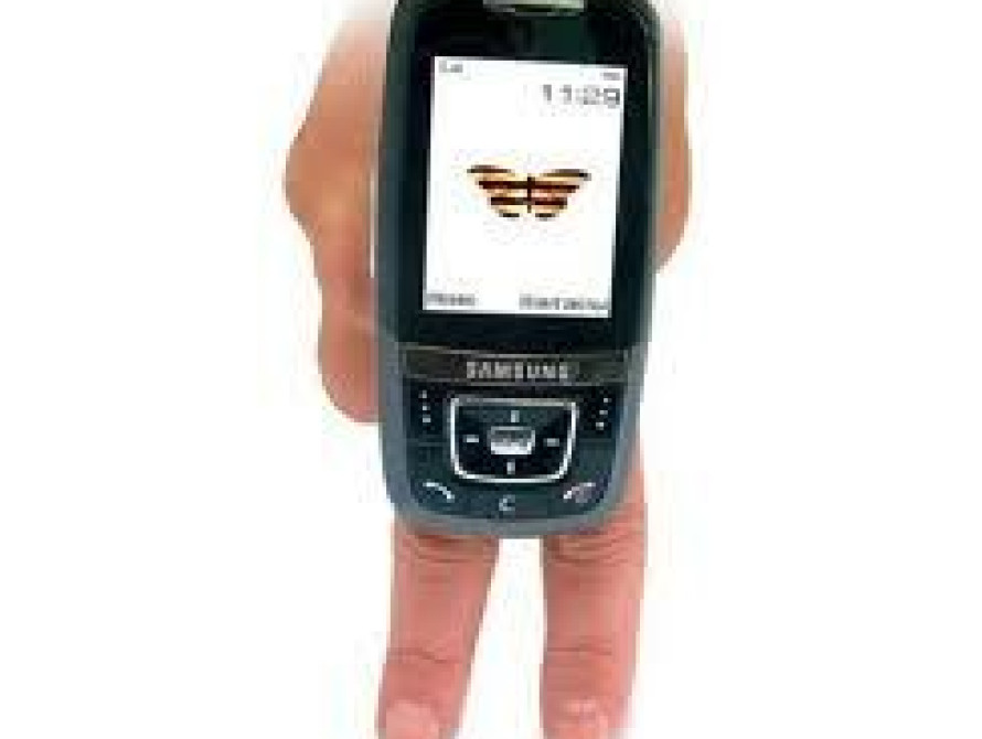 В Запорожье по Кичкасу опасно ходить с мобилками