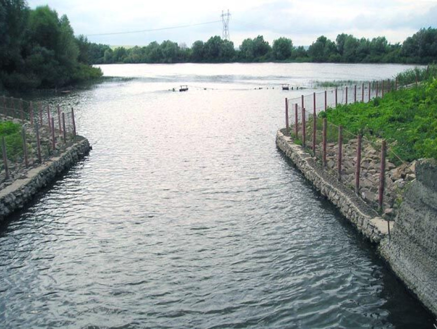 В Запорожской области на дне сбросного канала нашли женщину