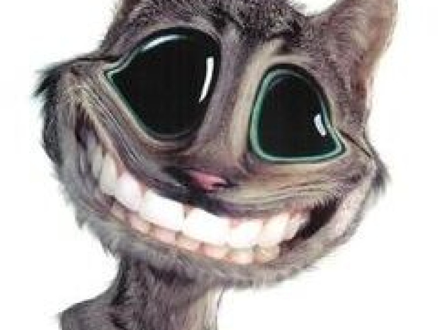 Запорожский "Металлург" поедет в Донецк показать зубы