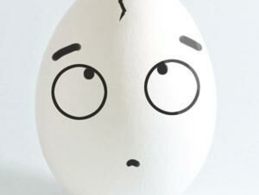 Европейский банк даст запорожской компании 25 млн. долларов на яйца