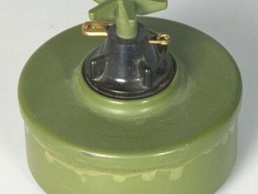 В Запорожской области у жителя села изъяли противопехотную мину