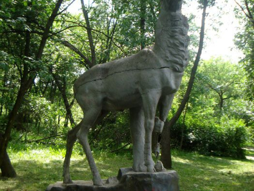 В Запорожье олень потерял голову от старости