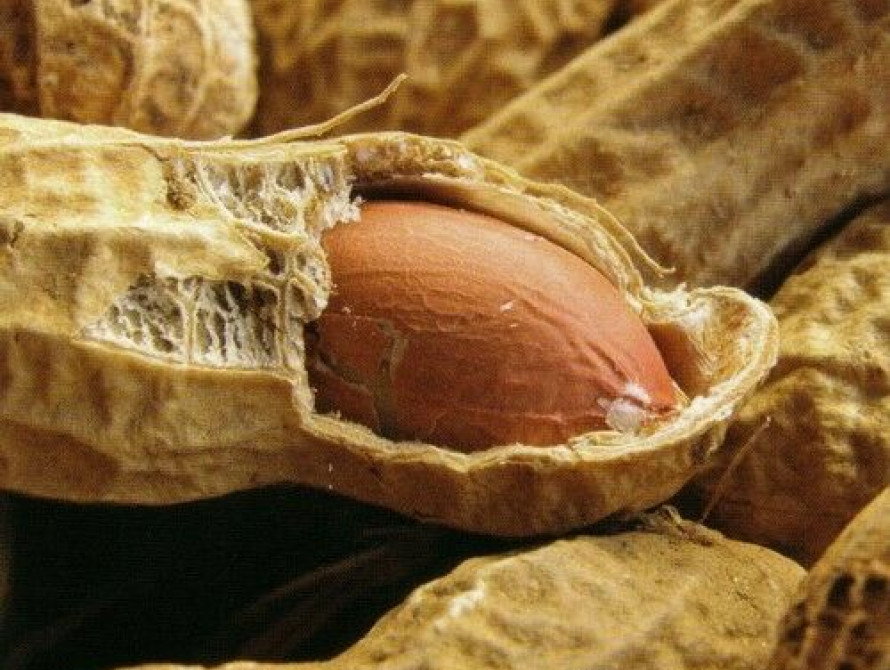 Запорожских таможенников снова пытались обмануть