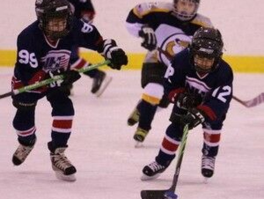 В Запорожье построят ледовую площадку для хоккея