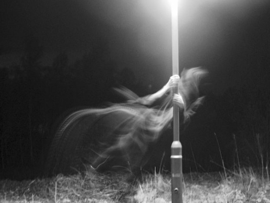 В Запорожском строительном колледже работали вымышленные преподаватели