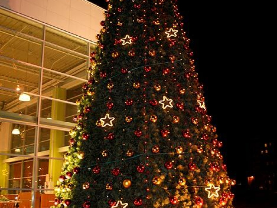 В Запорожье ТЦ "Амстор" зажигает елки