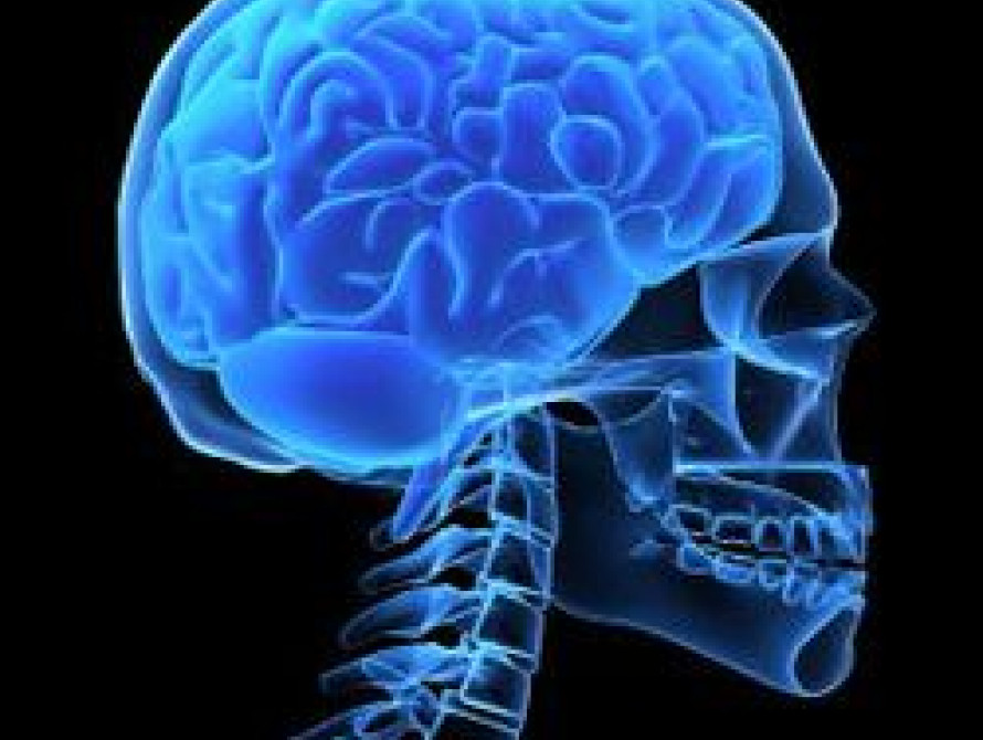 В Запорожских больницах появится оборудование для констатации смерти мозга