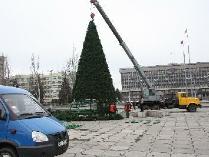 В Запорожье установили главную городскую елку