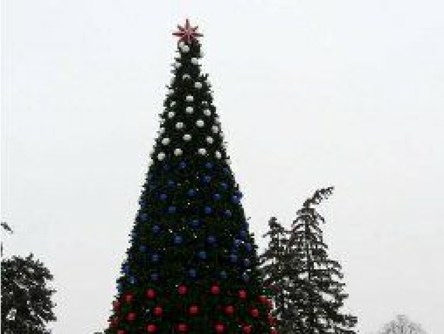 В Запорожской области депутаты лично охраняют елку