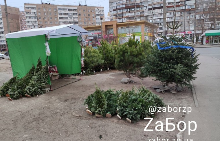 В Запорожье открылись елочные базары: что почем?!