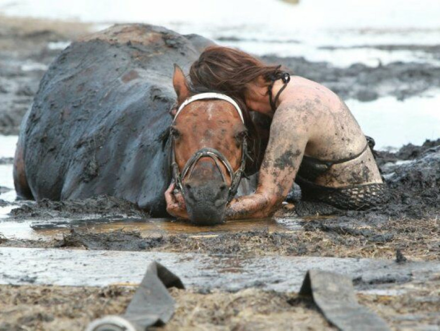 В Запорожской области пьяный всадник чуть не утопил своего коня