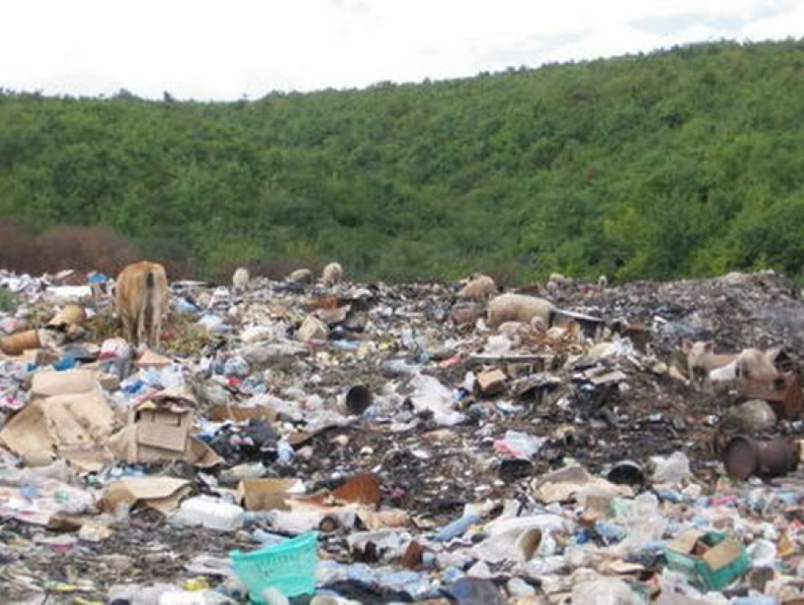 Запорожский мусор испанцы переработают в электроэнергию