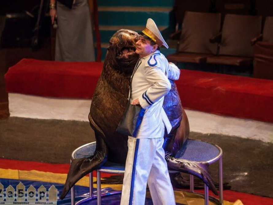 В Запорожье на премьеру московского цирка собрать полный зал не удалось