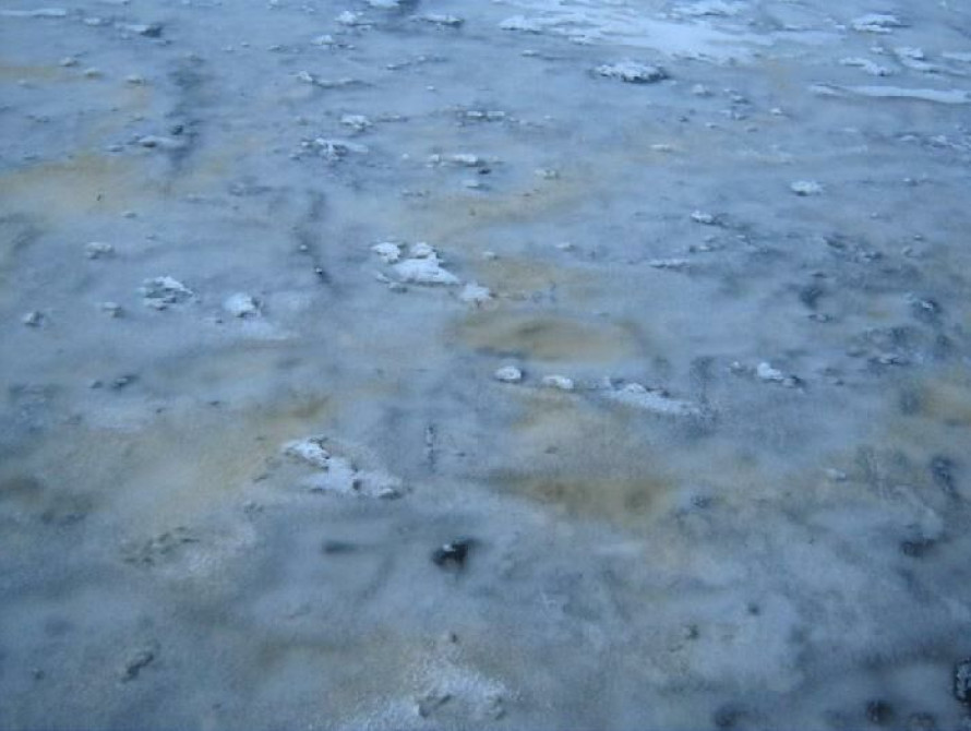 В Запорожье Днепр покрылся желтыми пятнами