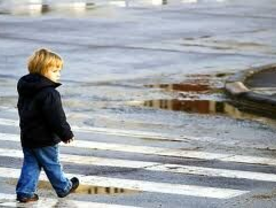 Мэр Запорожья дал задание: "Привести пешеходов "в чувства"