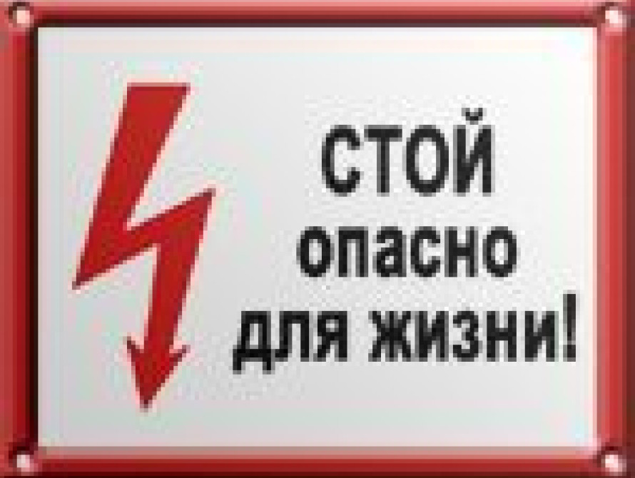 В Запорожье масложиркомбинат не прошел проверку