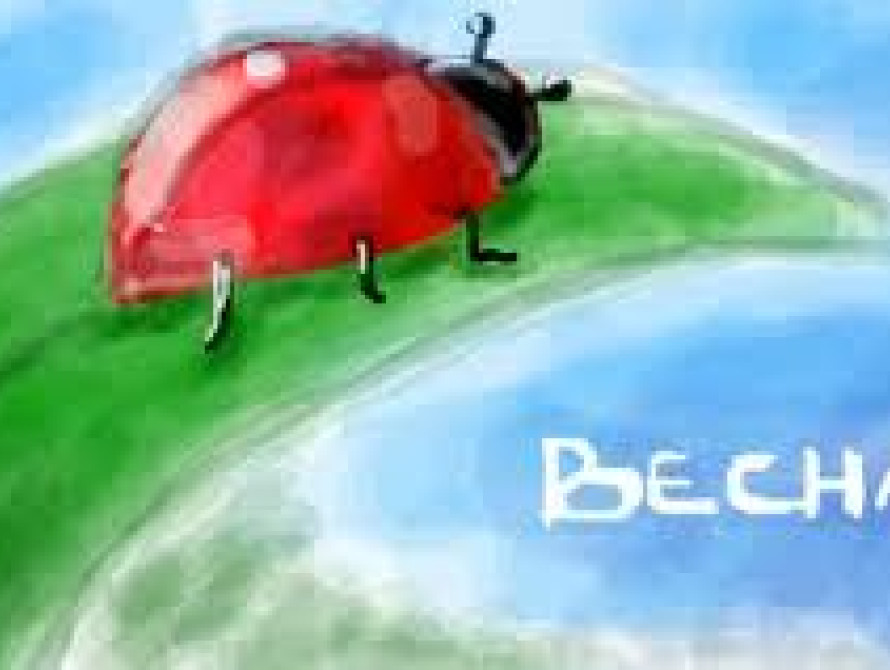 21 марта в Запорожье: стоп граффити, сокращения на ЗАЗе и выборы