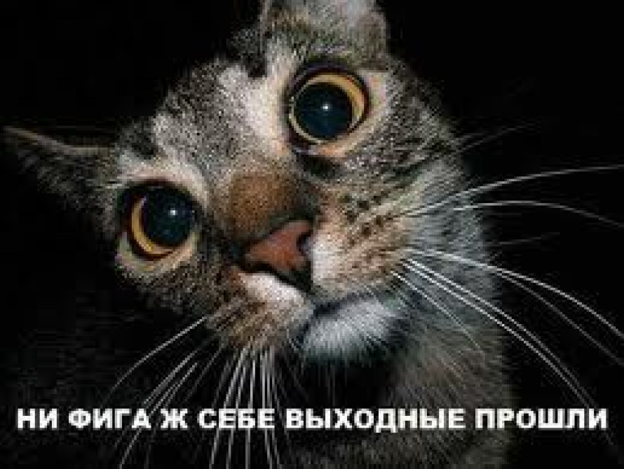 23–24 марта в Запорожье: снег, триумф Пеклушенко, ограбление "Афины", Dj Groove и Dj Balkonsky