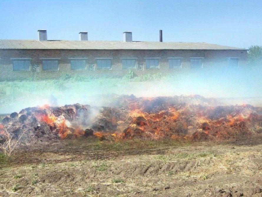 Запорожские МЧСники спасли от огня 2000 … свиней  