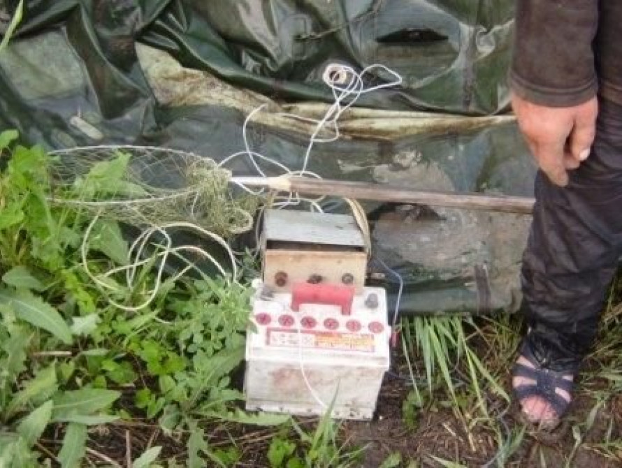 За два дня браконьеры нанесли ущерб запорожской природе на 5 тыс. грн.  