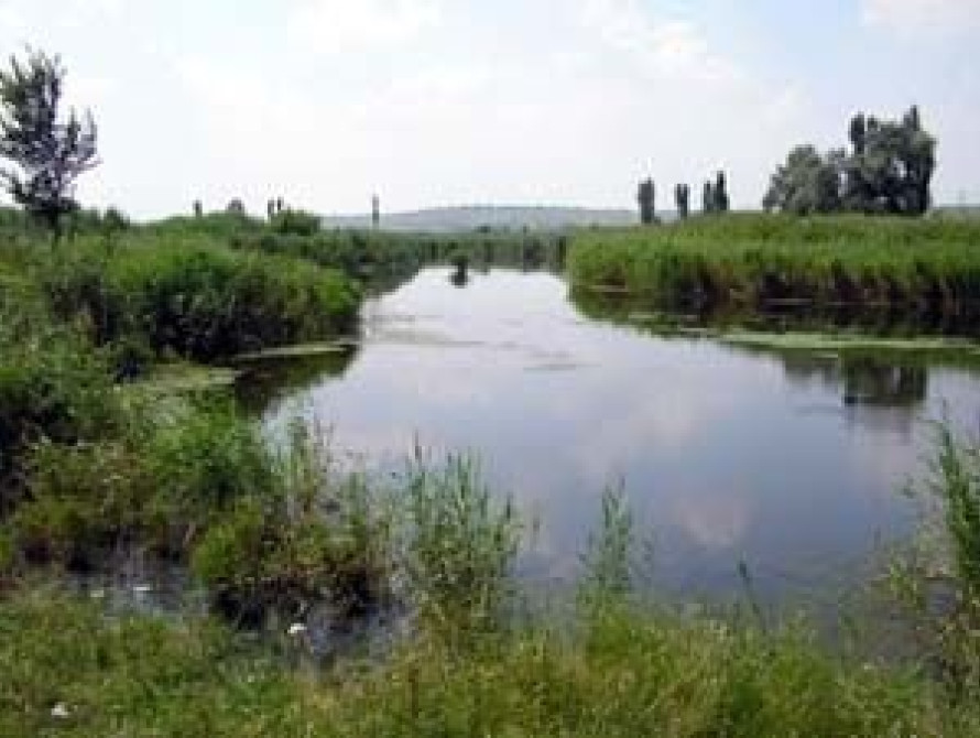 В запорожской реке обнаружен холероподобный вибрион