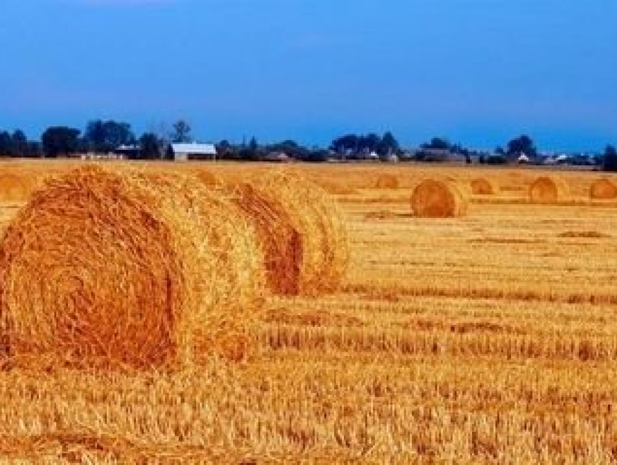 В Запорожской область сгорела почти тонна соломы