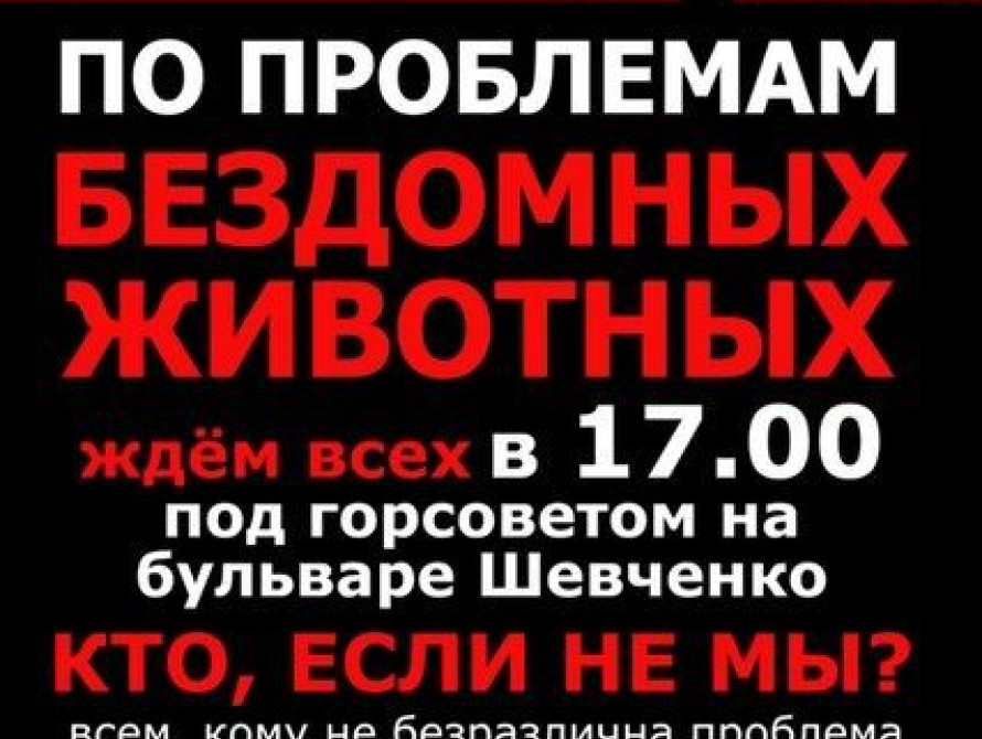 В Запорожье зоозащитники устроят пикет