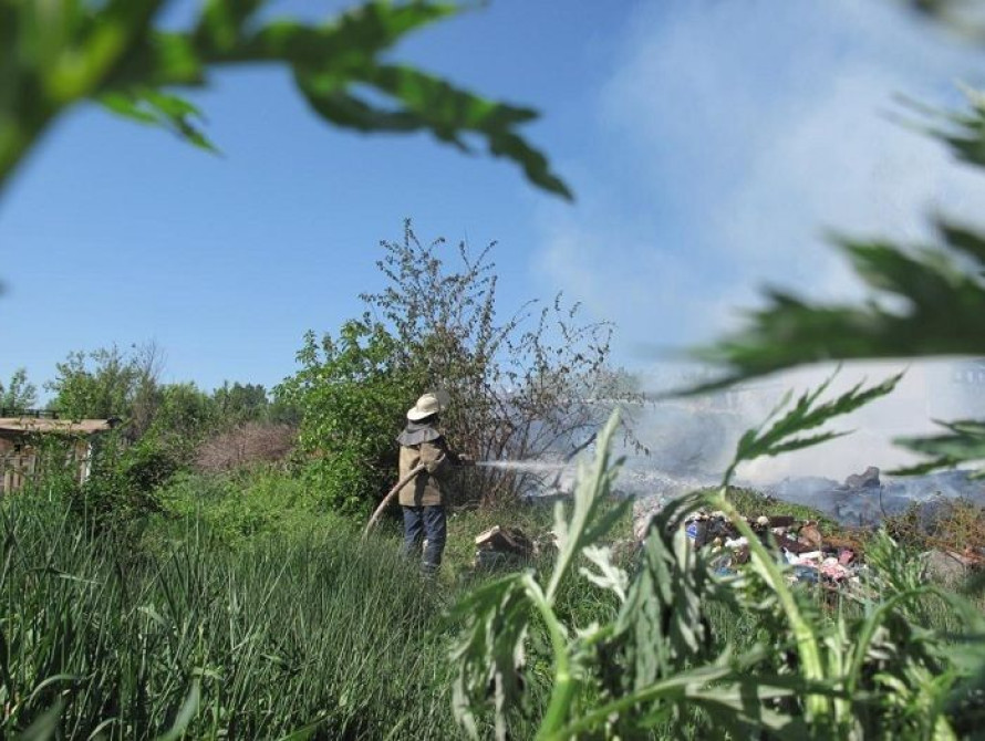 В Запорожской области горит открытая территория