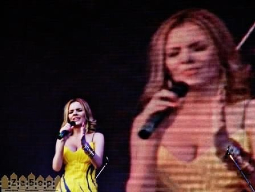 День Конституции в Запорожье:  жалобы "Другої ріки", пиво и благодарность Анисимову 