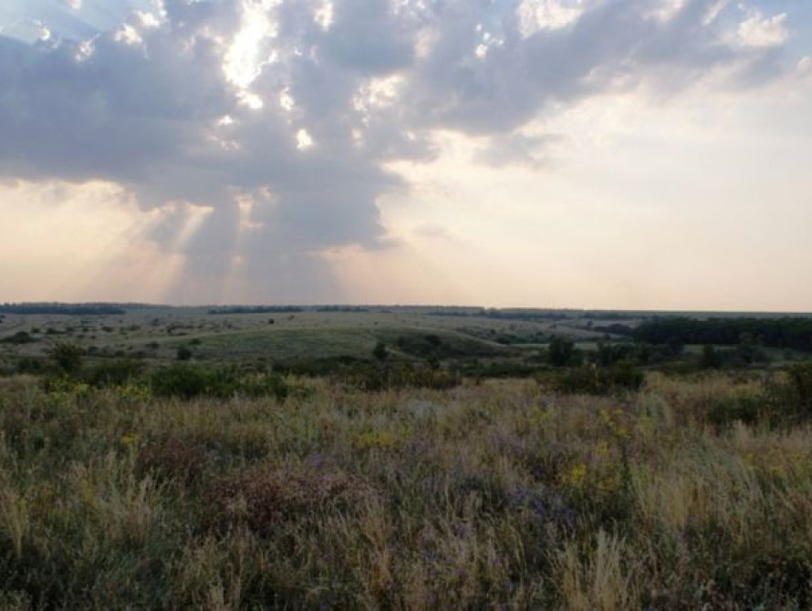 В Запорожье горсовет незаконно выделил участок под застройку
