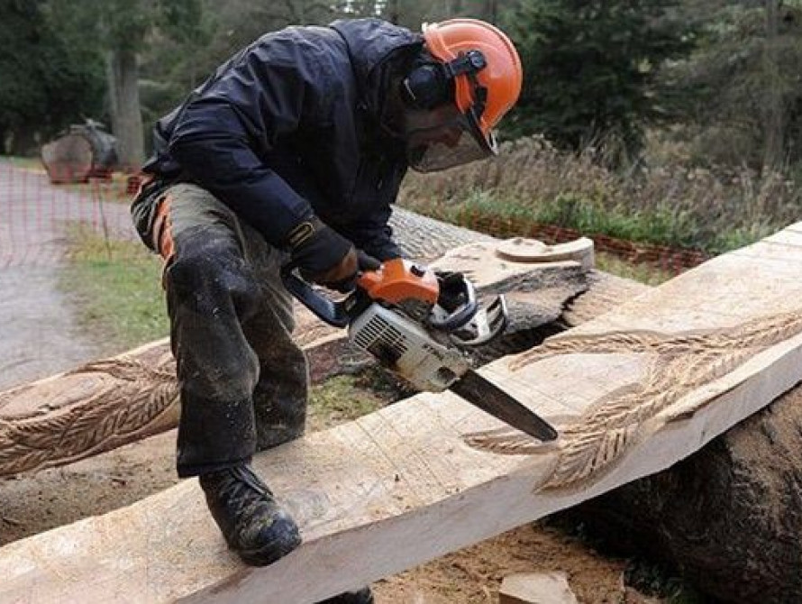 В Запорожье скульпторы с бензопилами устроят Фестиваль в "Дубовке"