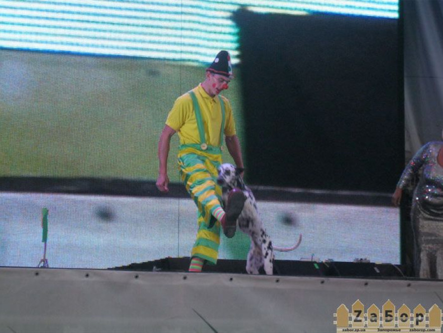 В Запорожье на "Радуге" устроили цирк