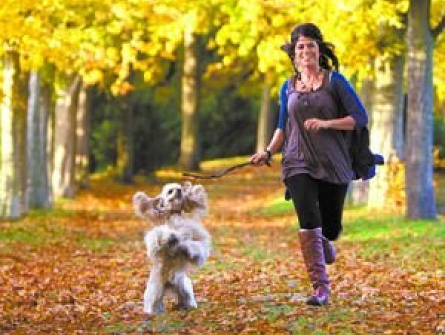 В Запорожье медики рассказали, как предотвратить осеннюю хандру