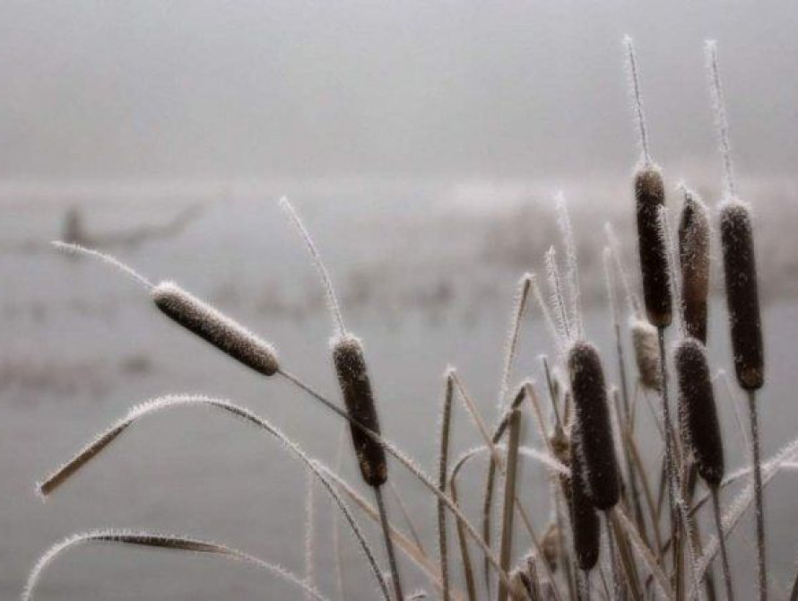 В Запорожье спасатели ГСЧС вытащили из болота пьяного мужчину