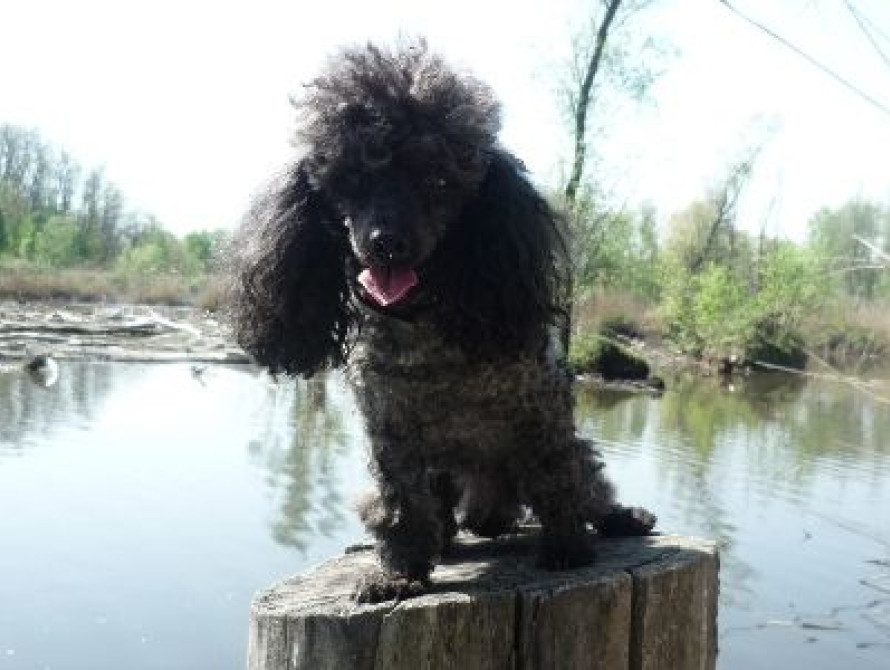 В запорожской колонии прошел фотоконкурс