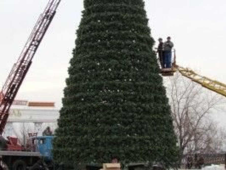 В Мелитополе устанавливают Центральную елку