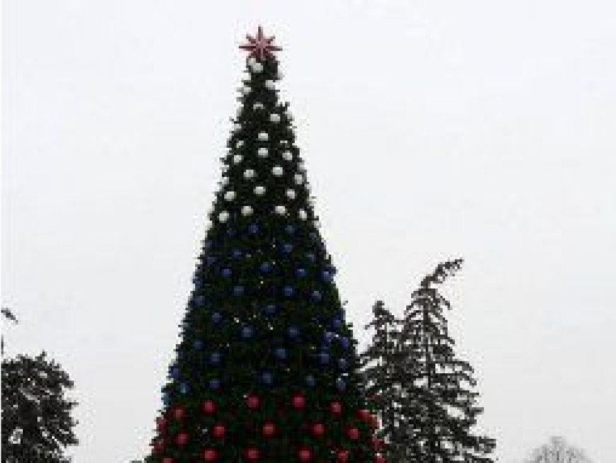 Сколько в Запорожье стоит украсить елку?