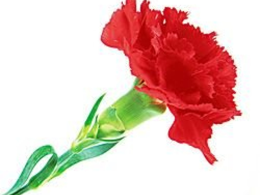 В Запорожье ушел из жизни тренер ФК "Металлург"