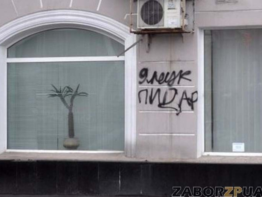 В Запорожье Партия регионов заявила, что не будет терпеть выходки радикальных "свидомитов"