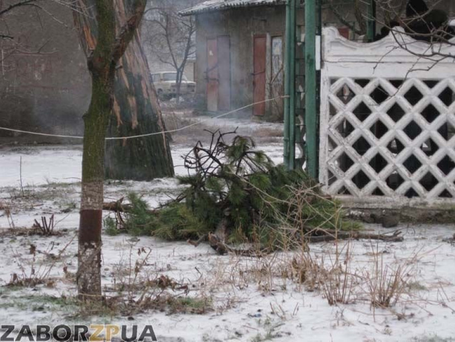 В Запорожье во дворах недалеко от мэрии жгут елки