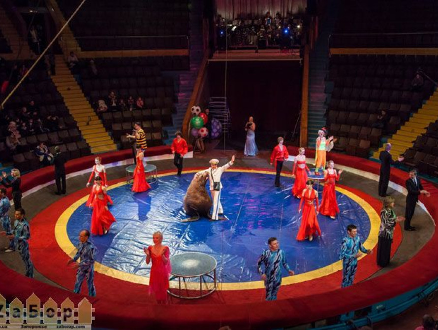 В Запорожском цирке сменилось руководство