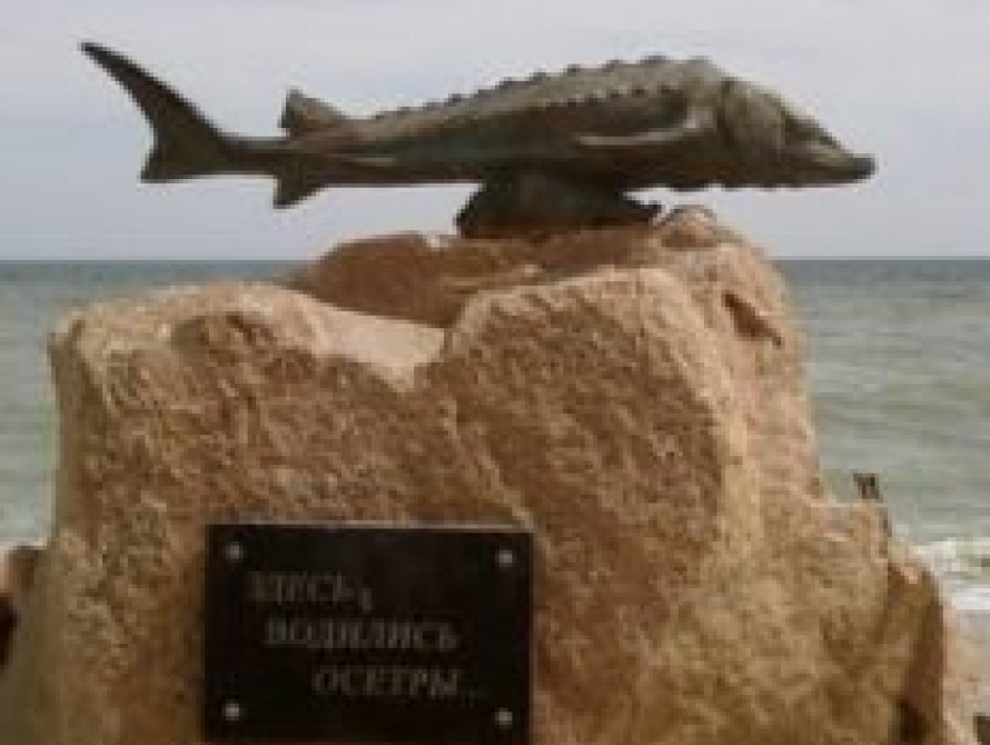 В Бердянске украли памятник 