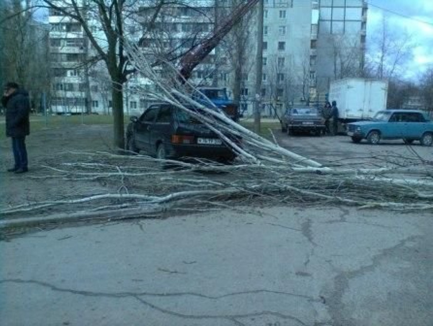В Запорожье на припаркованный автомобиль упало дерево  