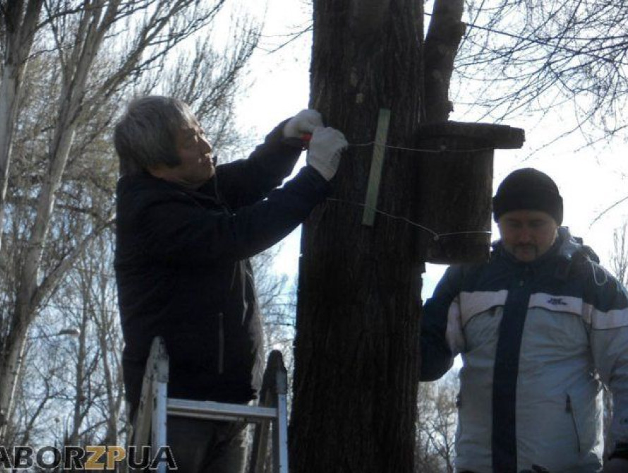 В Запорожье мэр со студентам развешивал искусственные дупла 
