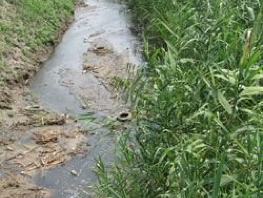 В Мелитополе специальная комиссия ищет отравителей Песчанской балки