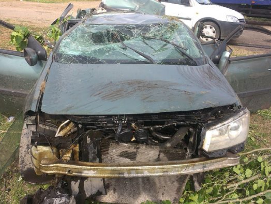 В Запорожской области угнанное авто влетело в дерево. Пассажир погиб 