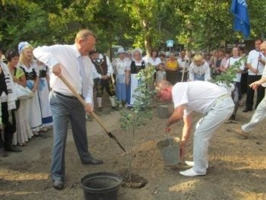 В Мелитополе появится новый сквер 