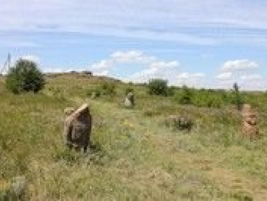 Запорожские археологи обнаружили древние монеты на Мамай-горе