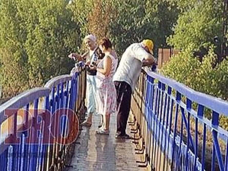 В Бердянске еще один мост покрасят в патриотические цвета 