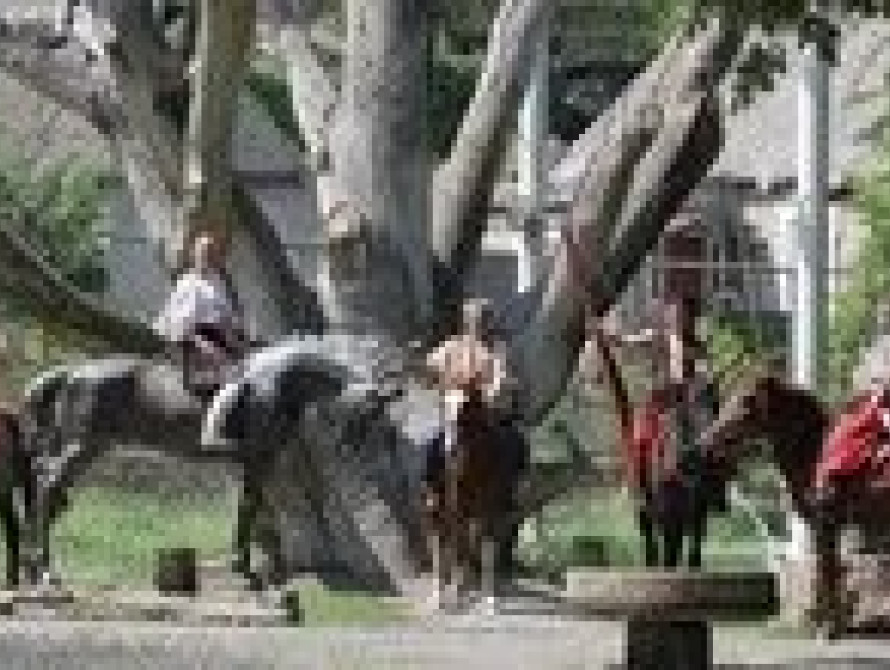 В Запорожье "Спас " провел  фестиваль украинских традиций